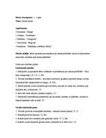 Referāts 'Bērna vecumposms 5-6gadi', 1.