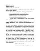 Referāts 'Bērna vecumposms 5-6gadi', 8.