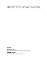 Referāts 'Bērna vecumposms 5-6gadi', 11.