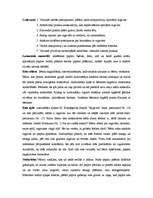 Referāts 'Bērna vecumposms 5-6gadi', 12.