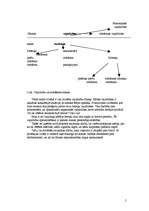 Referāts 'Individuālais projekts par karjeru - SIA "Instro" un tirdzniecības aģenta darbs', 5.