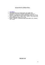 Referāts 'Individuālais projekts par karjeru - SIA "Instro" un tirdzniecības aģenta darbs', 12.