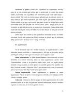 Referāts 'Interjera dizaina veidošana', 11.