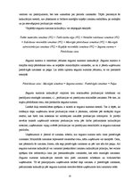 Prakses atskaite 'Vadības grāmatvedības informācijas izpēte SIA "X"', 10.