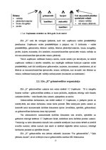 Prakses atskaite 'Vadības grāmatvedības informācijas izpēte SIA "X"', 12.