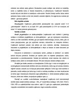 Prakses atskaite 'Vadības grāmatvedības informācijas izpēte SIA "X"', 15.