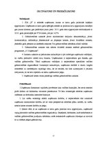 Prakses atskaite 'Vadības grāmatvedības informācijas izpēte SIA "X"', 17.