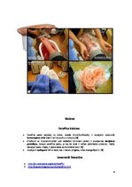 Referāts 'Parafīna terapija', 9.