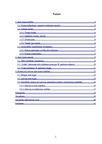 Referāts 'Autoīpašnieku pieprasījuma atbilstība transportlīdzekļa lietošanas vajadzībām', 2.