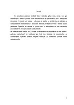 Referāts 'Privātās dzīves aizsardzība likumdošanā - gadījumu analīze', 3.