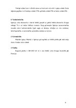 Referāts 'Spāņu tautas nacionālā virtuve', 6.