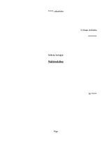 Referāts 'Nukleīnskābes', 1.