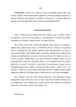 Referāts 'Nukleīnskābes', 2.