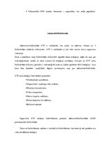 Referāts 'Nukleīnskābes', 4.