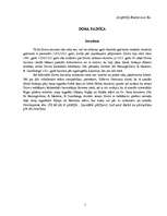 Referāts 'Doma baznīca', 1.