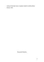 Referāts 'Latvijas valsts veidošanās un politisko spēku sadalījums pirmajos valsts pastāvē', 17.