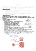Konspekts 'Veselīgs uzturs', 1.