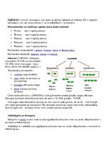 Konspekts 'Veselīgs uzturs', 3.