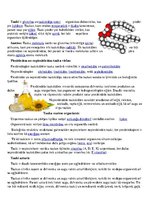 Konspekts 'Veselīgs uzturs', 5.