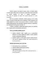 Referāts 'Pieaugušo izglītība. Cilvēki ar invaliditāti', 5.