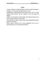 Referāts 'Uzņēmējdarbības formas', 3.