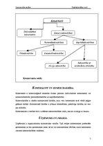Referāts 'Uzņēmējdarbības formas', 7.