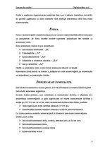 Referāts 'Uzņēmējdarbības formas', 8.