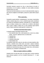 Referāts 'Uzņēmējdarbības formas', 9.