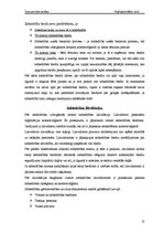 Referāts 'Uzņēmējdarbības formas', 12.