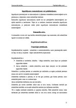 Referāts 'Uzņēmējdarbības formas', 15.