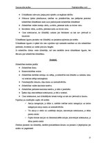 Referāts 'Uzņēmējdarbības formas', 17.