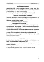 Referāts 'Uzņēmējdarbības formas', 18.