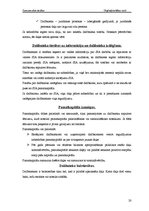 Referāts 'Uzņēmējdarbības formas', 20.