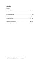 Referāts 'Pīlādzis', 2.