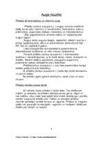 Referāts 'Pīlādzis', 6.