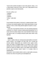 Referāts 'Konstitucionāli tiesiskās attiecības', 5.