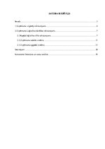 Referāts 'Loģistikas procesu analīze', 2.