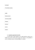 Referāts 'Loģistikas procesu analīze', 6.