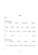 Diplomdarbs 'Eiropas Savienības tiesas dokumentu valodas specifika un tulkošanas problēmas', 8.