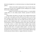 Diplomdarbs 'Eiropas Savienības tiesas dokumentu valodas specifika un tulkošanas problēmas', 14.