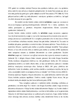 Diplomdarbs 'Eiropas Savienības tiesas dokumentu valodas specifika un tulkošanas problēmas', 22.