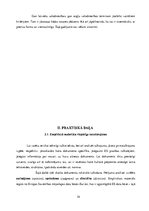 Diplomdarbs 'Eiropas Savienības tiesas dokumentu valodas specifika un tulkošanas problēmas', 34.