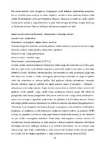 Diplomdarbs 'Eiropas Savienības tiesas dokumentu valodas specifika un tulkošanas problēmas', 49.