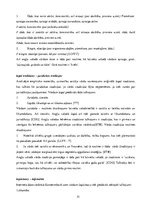 Diplomdarbs 'Eiropas Savienības tiesas dokumentu valodas specifika un tulkošanas problēmas', 51.