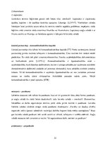 Diplomdarbs 'Eiropas Savienības tiesas dokumentu valodas specifika un tulkošanas problēmas', 52.