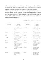 Diplomdarbs 'Eiropas Savienības tiesas dokumentu valodas specifika un tulkošanas problēmas', 55.