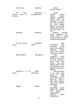 Diplomdarbs 'Eiropas Savienības tiesas dokumentu valodas specifika un tulkošanas problēmas', 71.