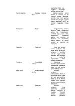 Diplomdarbs 'Eiropas Savienības tiesas dokumentu valodas specifika un tulkošanas problēmas', 73.