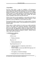 Biznesa plāns 'SIA Print Veritas biznesa plāns', 3.