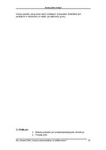 Biznesa plāns 'SIA Print Veritas biznesa plāns', 19.